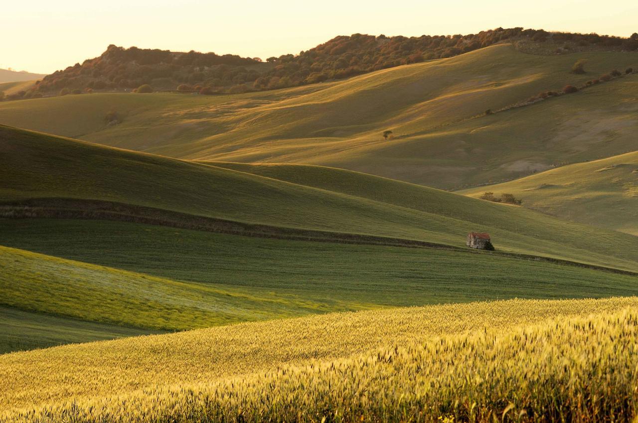 Agriturismo Palazzo Conti - B Pienza Esterno foto
