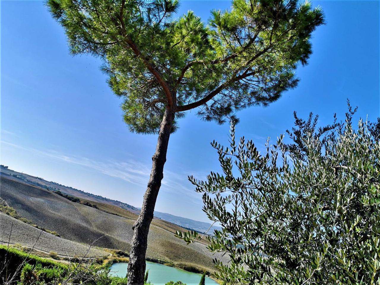 Agriturismo Palazzo Conti - B Pienza Esterno foto