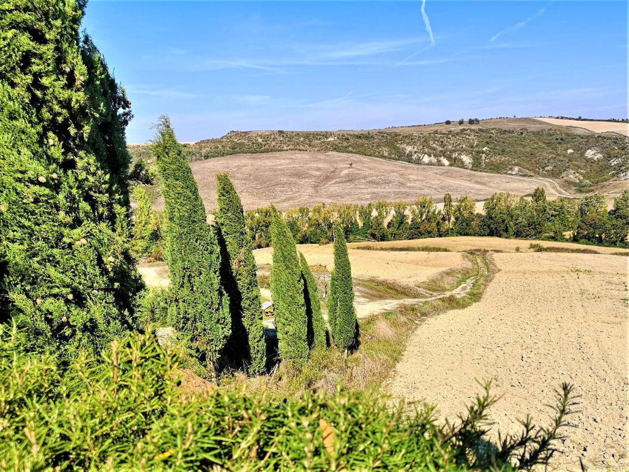 Agriturismo Palazzo Conti - B Pienza Esterno foto